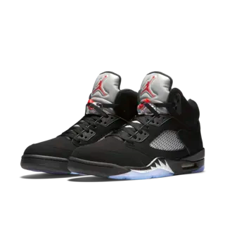 Air Jordan 5 Metallic Silver